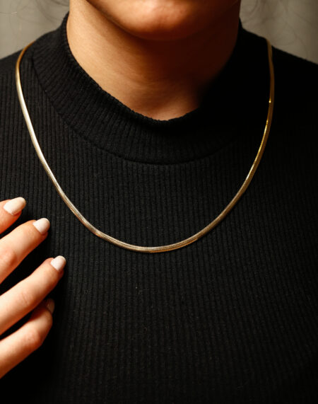 BALIK SIRTI ZİNCİR