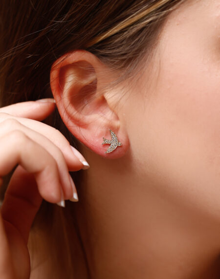 TAŞLI MARTI KÜPESİ